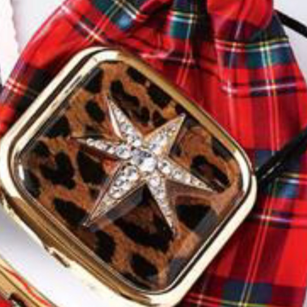 Mirror in a bag.